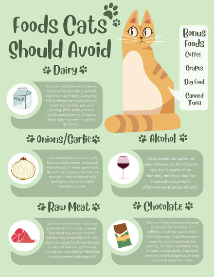 Infographic